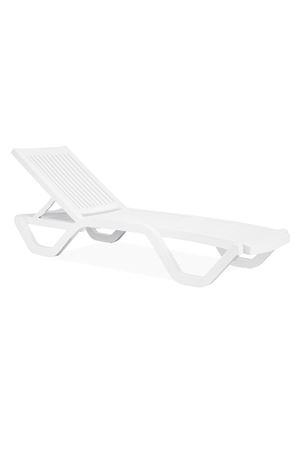 Papatya Myra 1 Beyaz