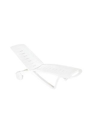 Papatya Elegance 01 Beyaz