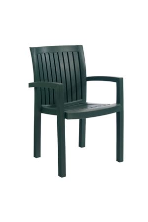 Papatya Neta Sandalye Yeşil