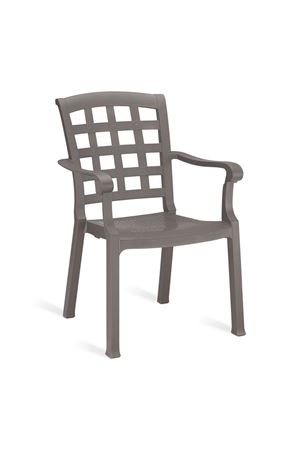 Papatya Pasha Sandalye 